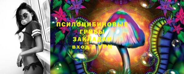 дурь Аркадак