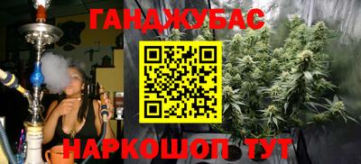 крисы Обь
