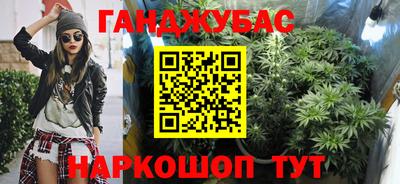 крисы Обь
