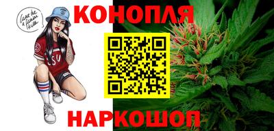 крисы Обь