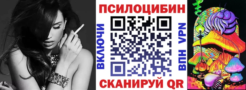 ссылка на мегу tor  Чебоксары  Галлюциногенные грибы мицелий 
