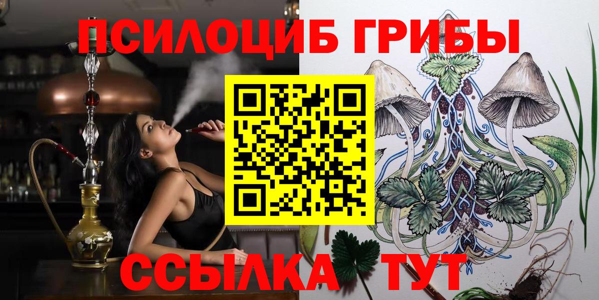 даркнет сайт  Псилоцибиновые грибы GOLDEN TEACHER  Чебоксары  Вход с VPN  Псилоцибиновые грибы MAGIC MUSHROOMS 